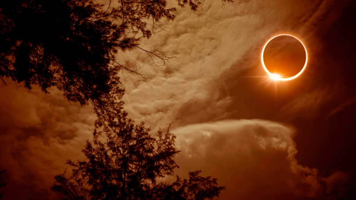 Eclipse solar en Somosierra con el Sol parcialmente cubierto y árboles en primer plano