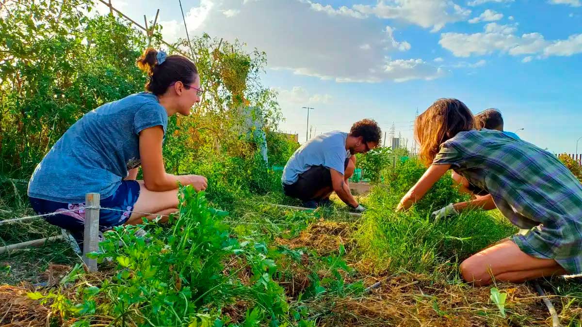 Personas trabajando en el huerto comunitario de Arganzuela en la parcela Mahou-Calderón