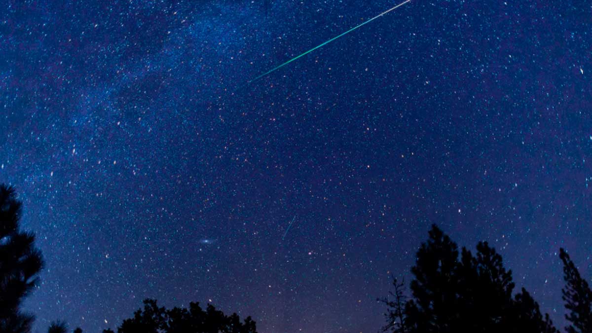 Lluvia de perseidas en el cielo nocturno de Madrid con árboles en primer plano