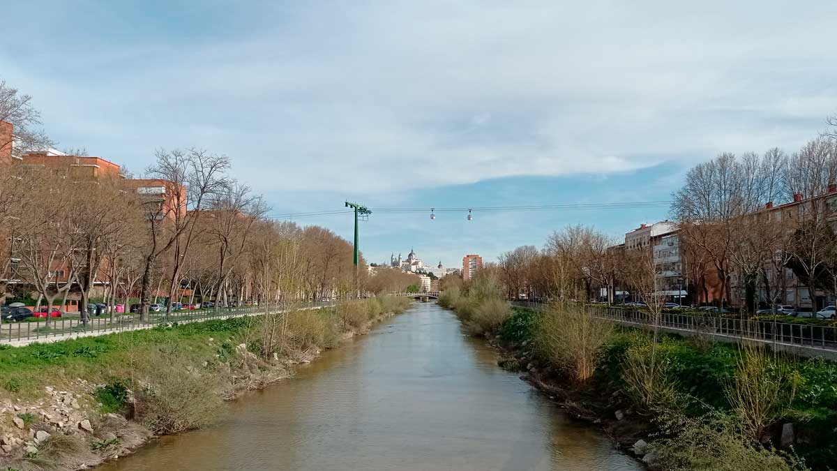 Nutria en el río Manzanares en Madrid tras su regreso después de medio siglo