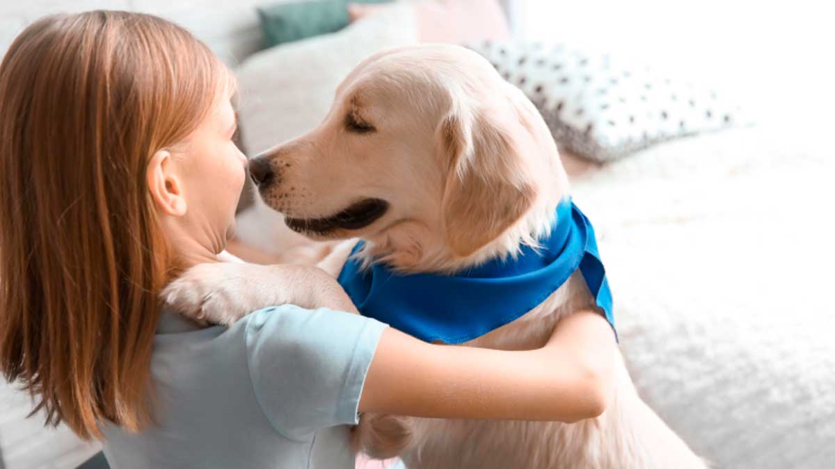 Niña abraza a perro en programa terapéutico en Madrid