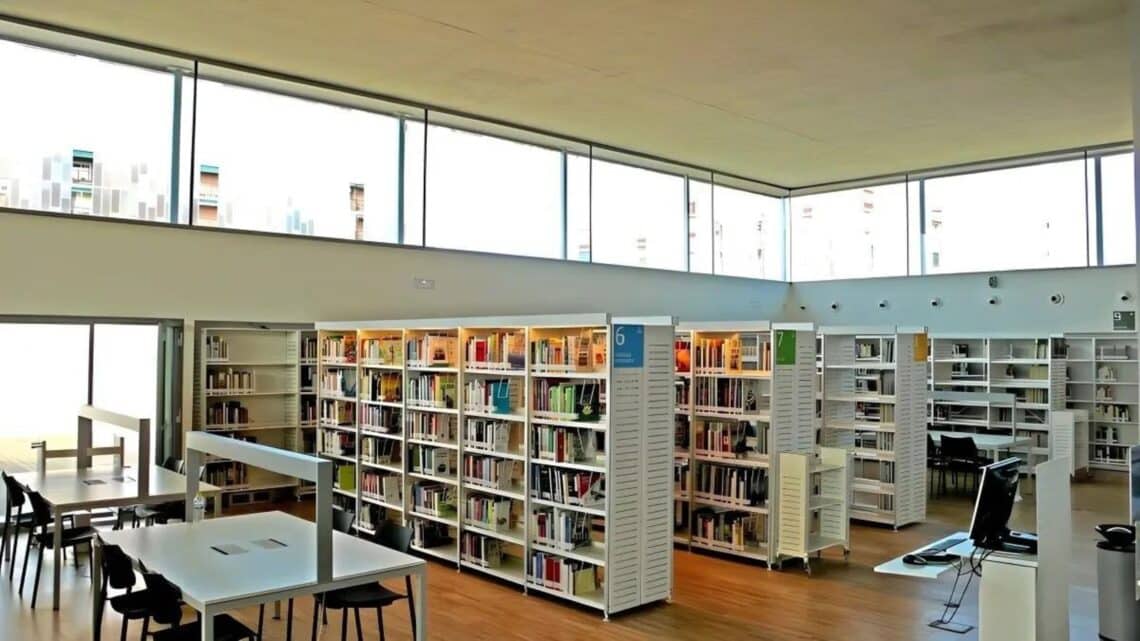 Carné único bibliotecas