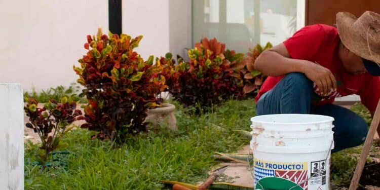 Oferta de empleo para trabajar en una finca
