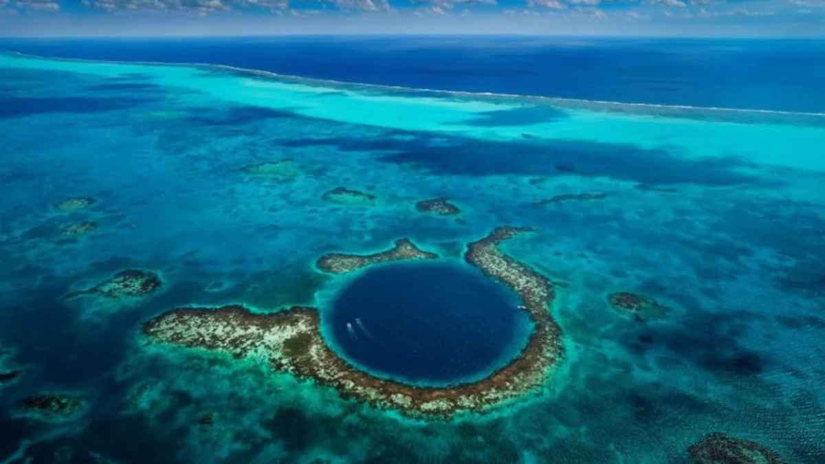 Misterioso chasquido en las profundidades