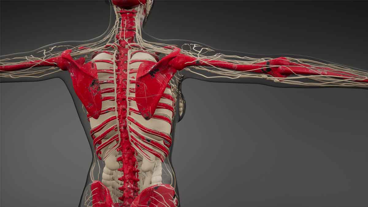 Experimento invisibilidad