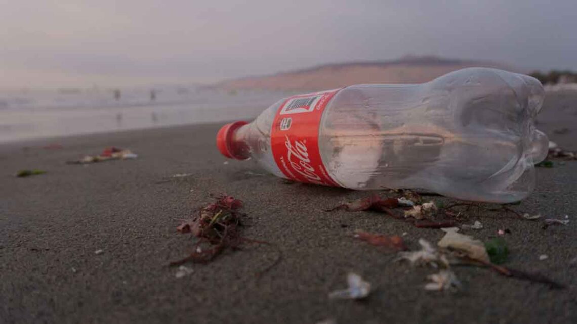 Contaminación por plástico