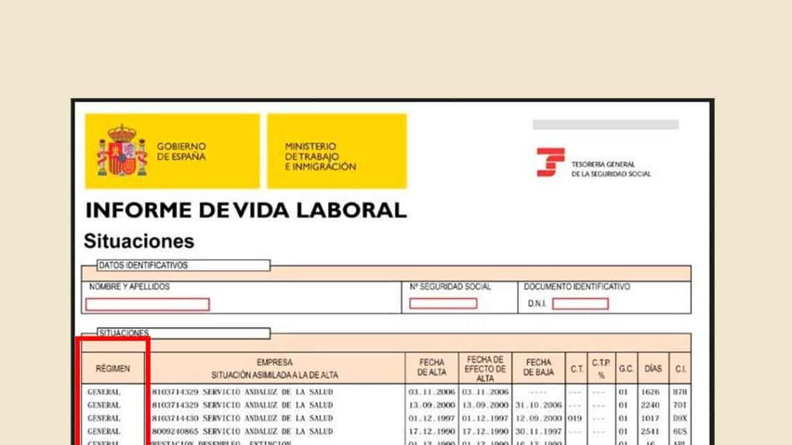 Significado columnas vida laboral