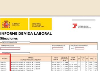 Significado columnas vida laboral