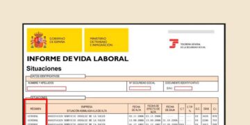 Significado columnas vida laboral