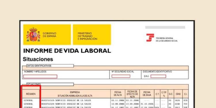 Significado columnas vida laboral