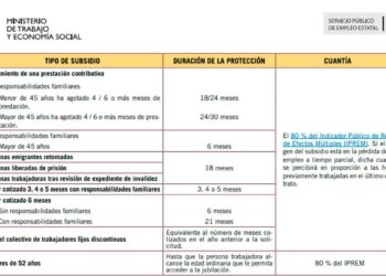 Subsidios del Servicio Público de Empleo Estatal (SEPE)