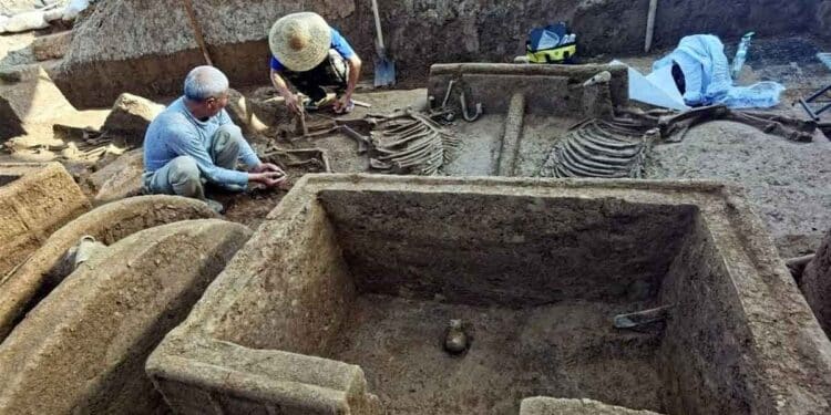 Descubren en China cerveza de hace 10.000 años