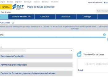 Enfermedades por las que no renuevan el carnet de conducir