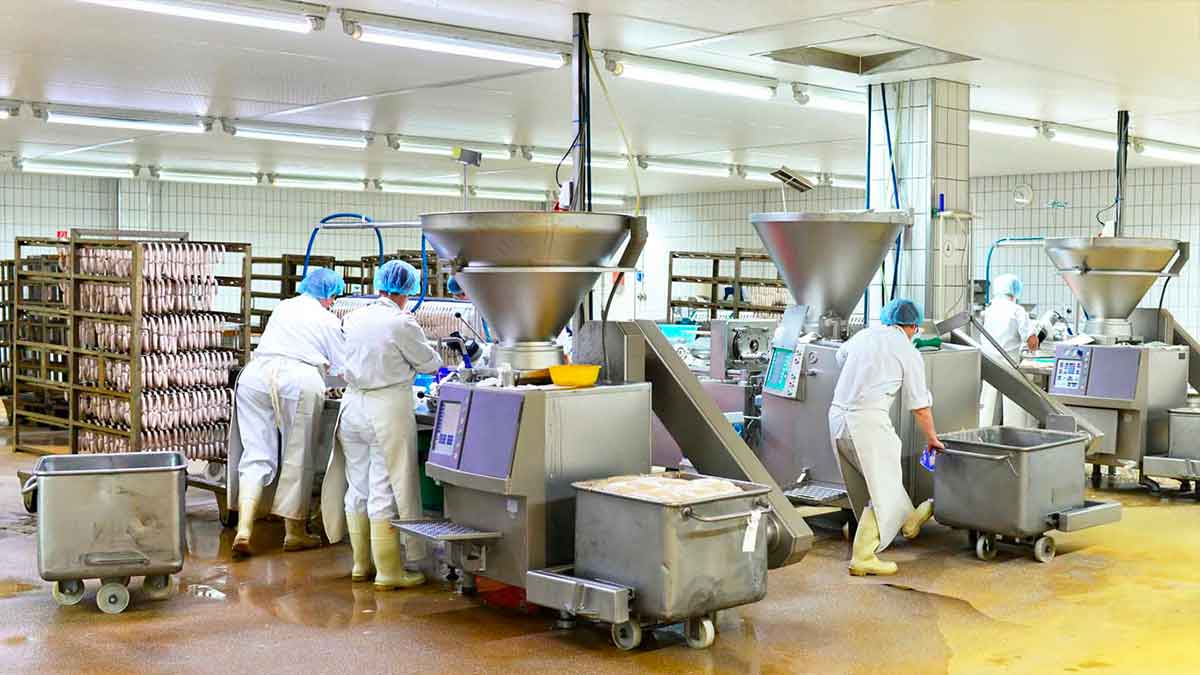 20 operarios de producción sector de la alimentación