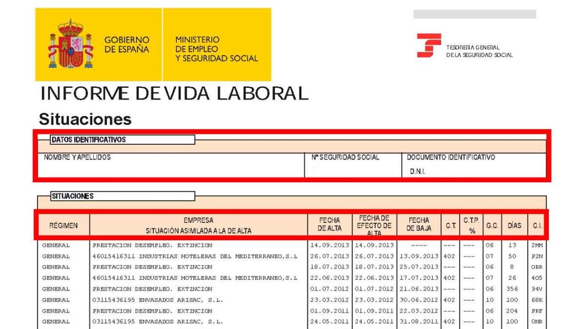 Informe vida laboral