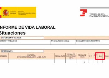 Conoce las casillas de la vida laboral