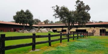 Trabajar en La Finca Jiménez Barbero en Colmenar del Arroyo