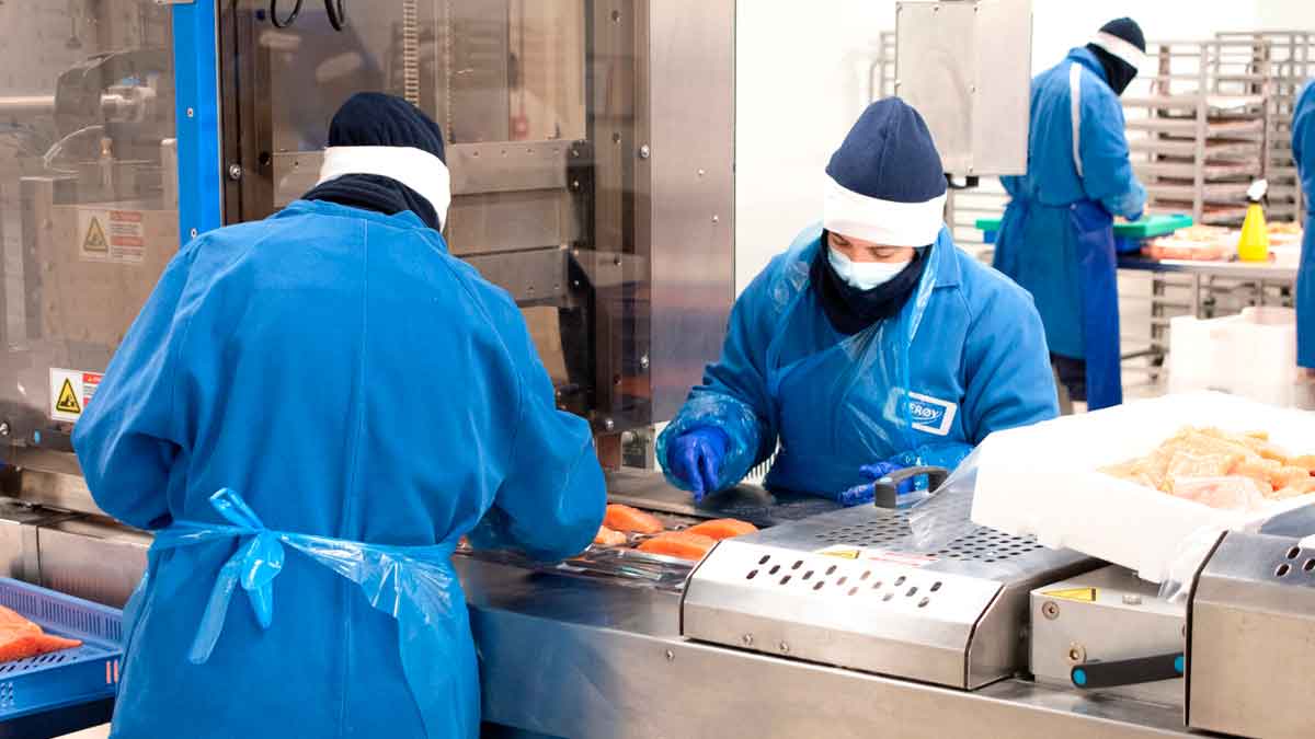 Leroy Processing Pinto