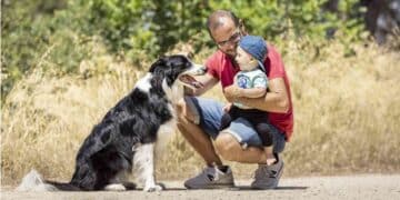 Pensión de mascotas tras divorcio