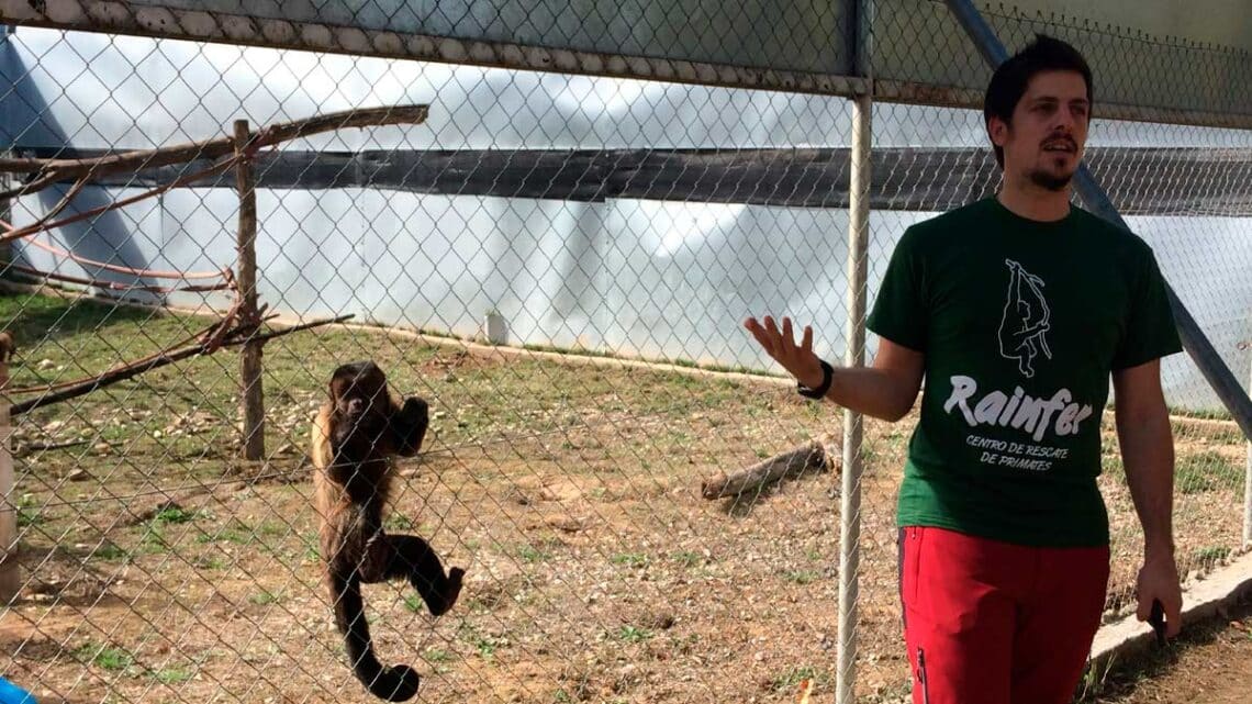 Trabajar en Centro de Rescate de Primates Rainfer