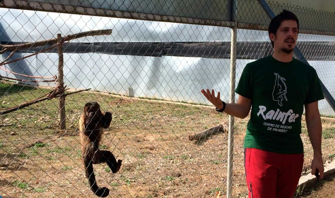 Trabajar en Centro de Rescate de Primates Rainfer