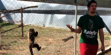 Trabajar en Centro de Rescate de Primates Rainfer