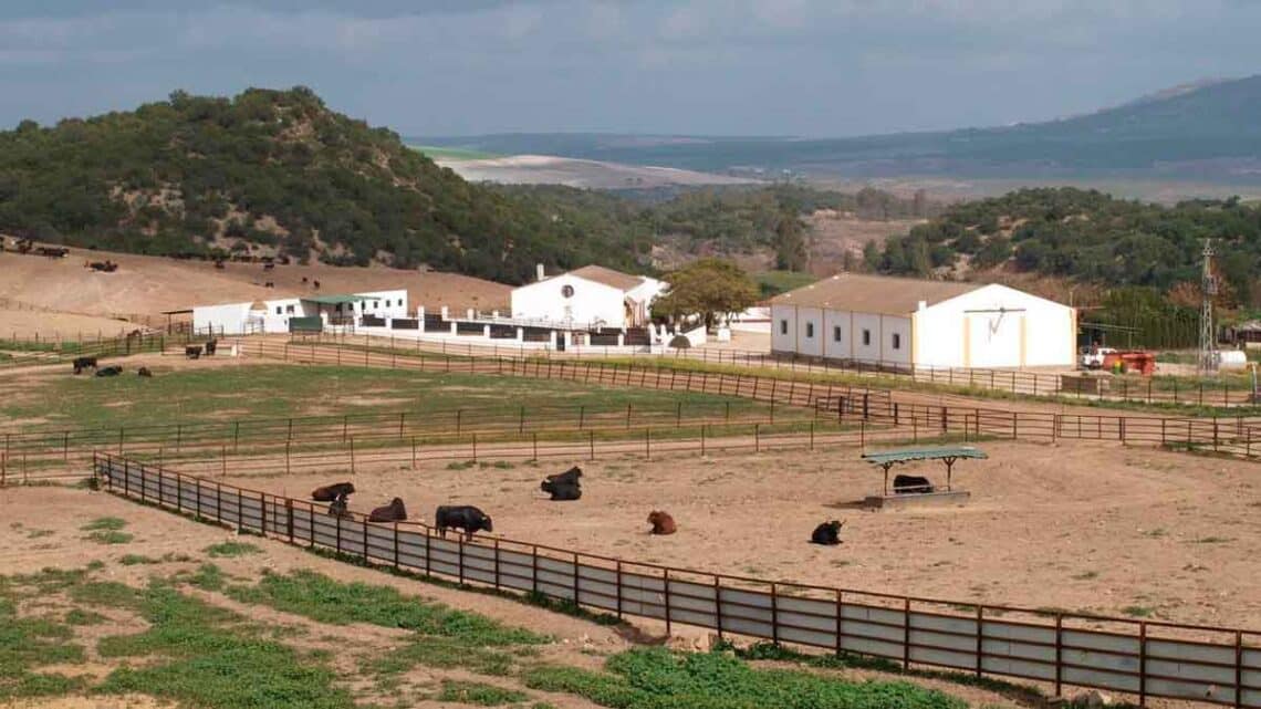 Trabajar en una finca Guadarrama