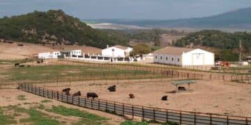 Trabajar en una finca Guadarrama