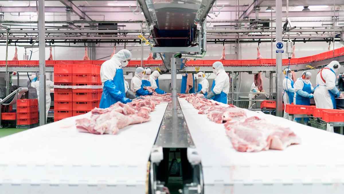 Trabajar matadero Leganés