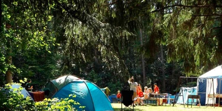 Ofertas de empleo para campings