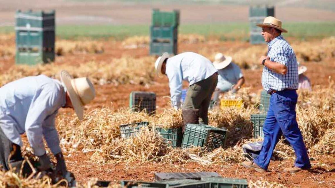 Subsidio trabajadores fijos discontinuos