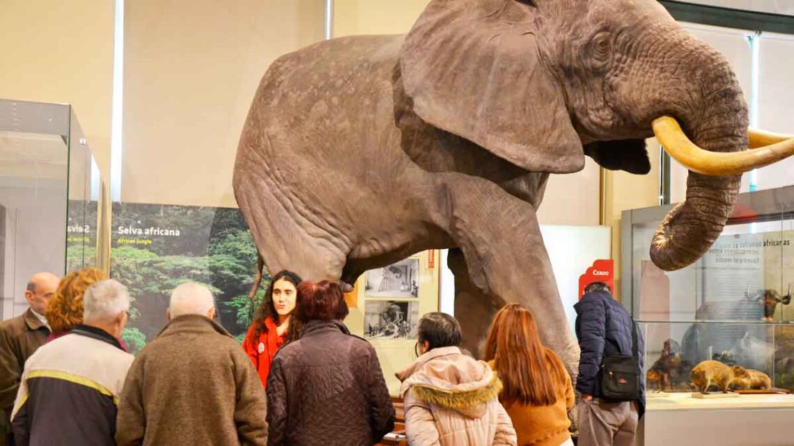 Trabajar guarda museo Madrid